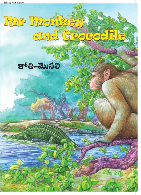 Mr. Monkey and Crocodile